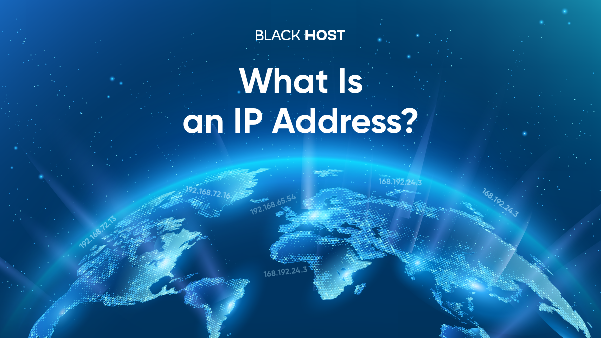 What is an IP address?
